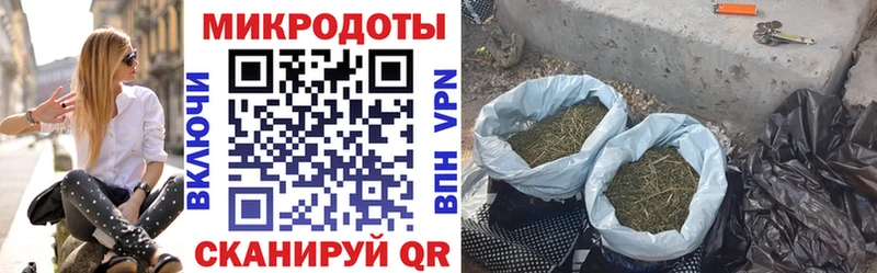 Псилоцибиновые грибы Magic Shrooms  Короча 